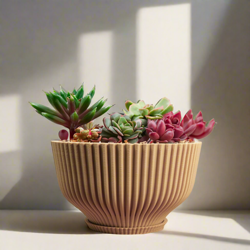 quirky succulent pots Bonsai Pot with Drainage and Saucer