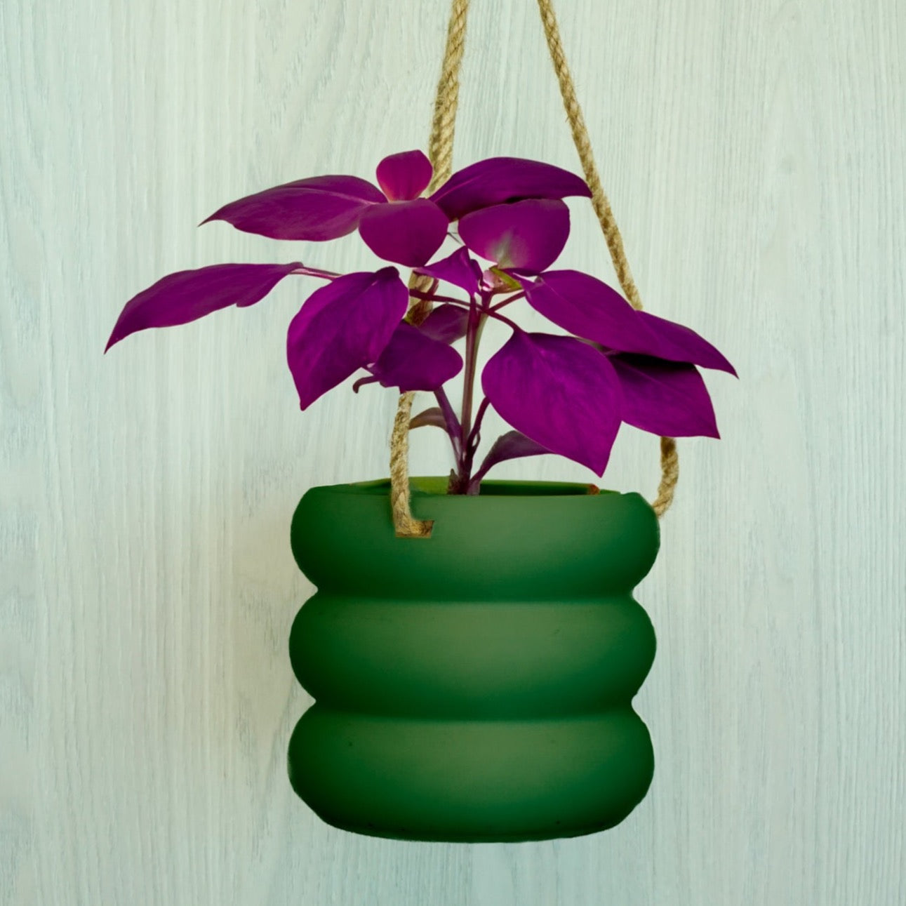 3d print hanging planter Hanging Bubble Pot, 3D Printed Planter, Hanging Wall Planter with Drainage, Minimal Decor, 4 5 6 7 8 Inch Plant Pots in Matte Terracotta Black / 4