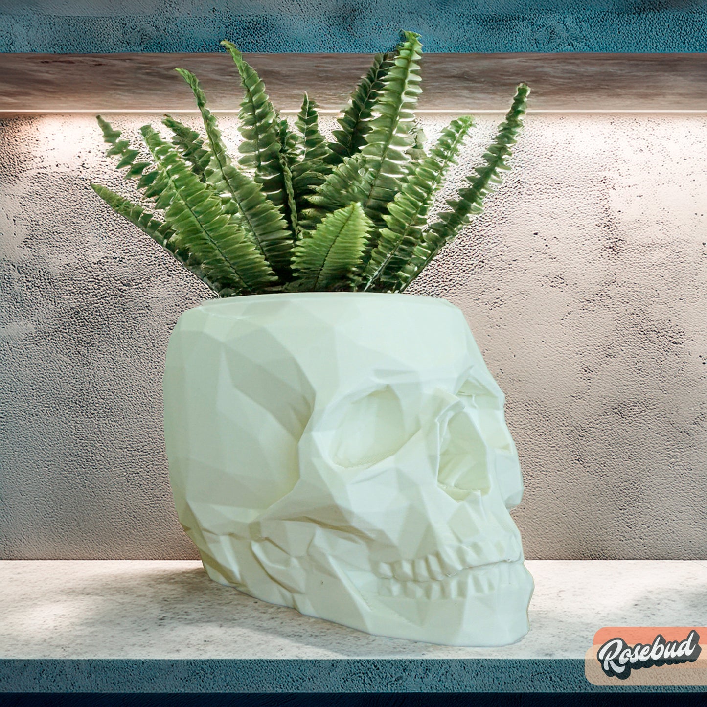 Skull Plant Pot with Drainage and Drip Tray
