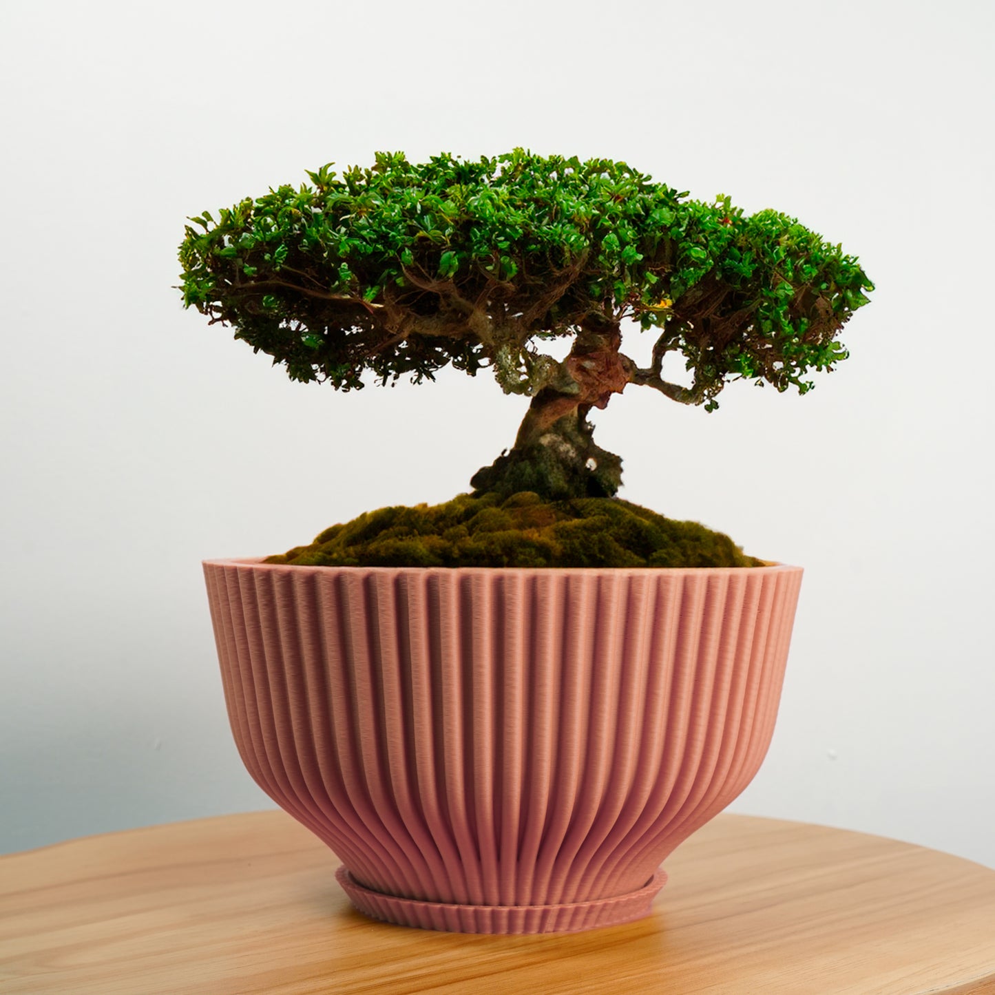 Bonsai Pot with Drainage and Saucer, Succulent Arrangement Planter Pot Unique, Cacti and House Plant Planter, Lightweight Wide Bowl