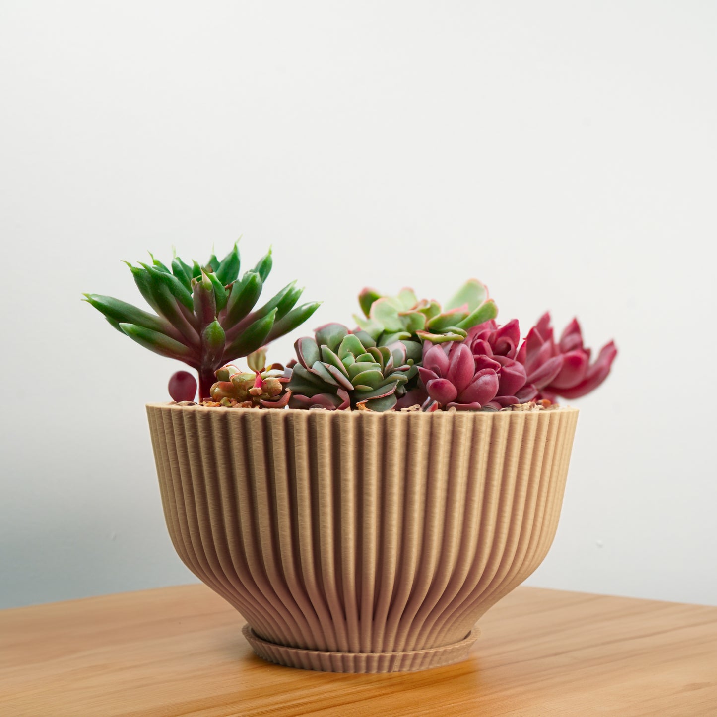 Bonsai Pot with Drainage and Saucer, Succulent Arrangement Planter Pot Unique, Cacti and House Plant Planter, Lightweight Wide Bowl