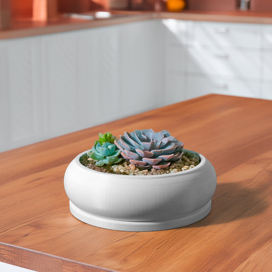 Solo Bubble, Donut Planter with Drainage and Drip Tray, Succulent Arrangement, Shallow Bowl