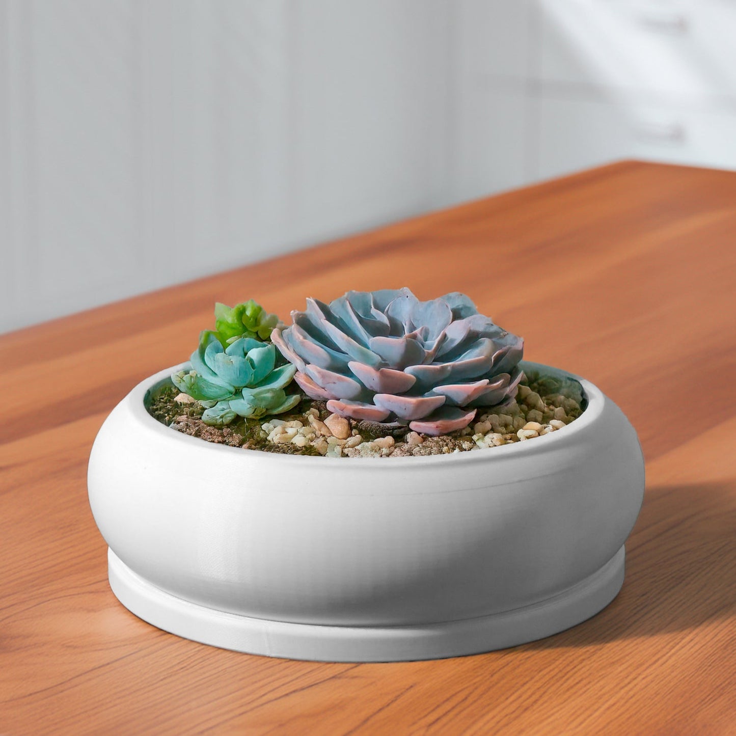Solo Bubble, Donut Planter with Drainage and Drip Tray, Succulent Arrangement, Shallow Bowl