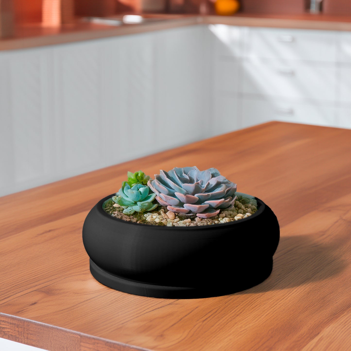 Solo Bubble, Donut Planter with Drainage and Drip Tray, Succulent Arrangement, Shallow Bowl