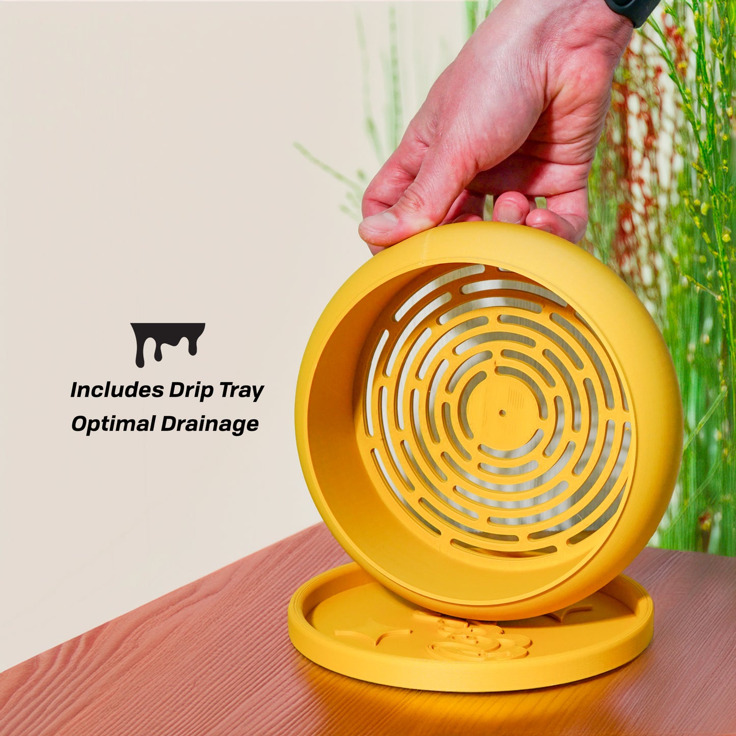 Solo Bubble, Donut Planter with Drainage and Drip Tray, Succulent Arrangement, Shallow Bowl