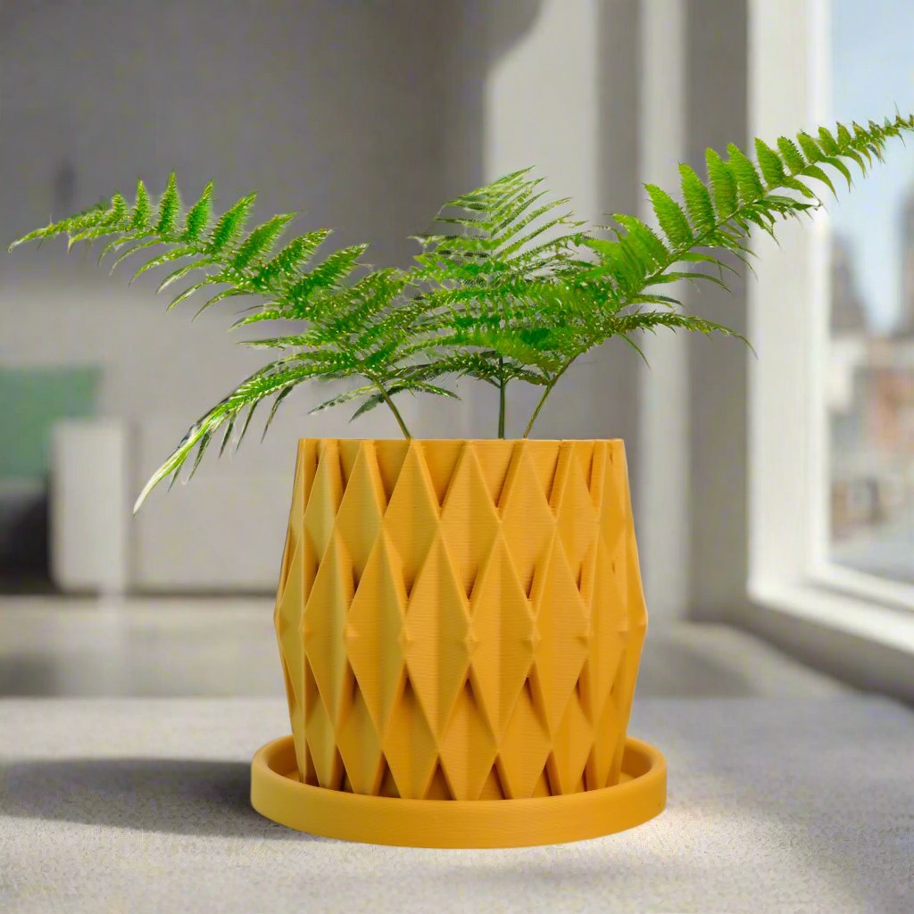 Stellaria Unique Plant Pot with Drainage and Saucer
