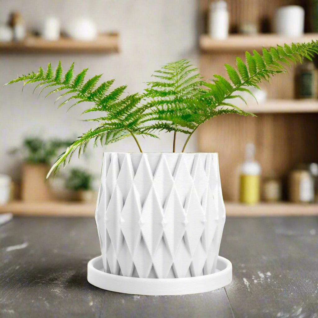 Stellaria Unique Plant Pot with Drainage and Saucer