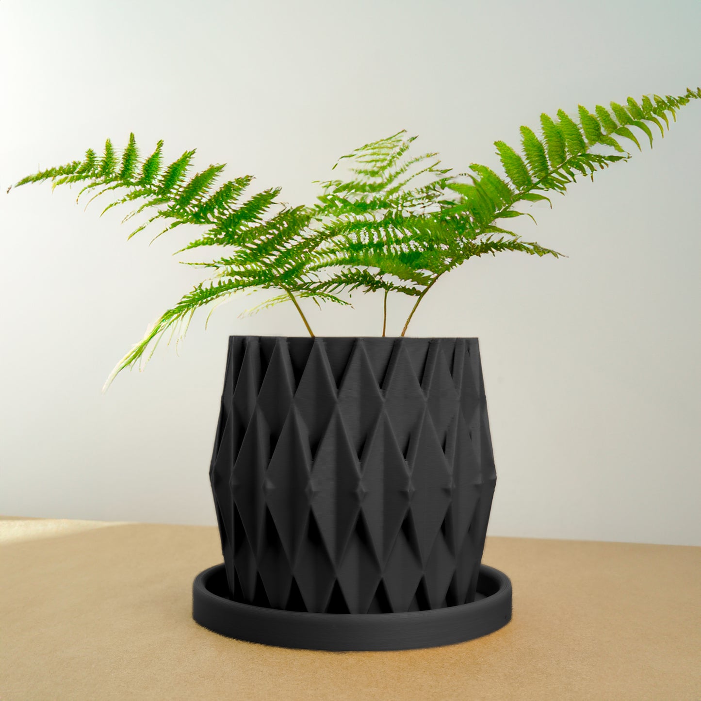 Stellaria Unique Plant Pot with Drainage and Saucer