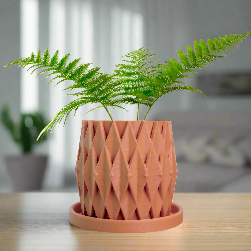 Stellaria Unique Plant Pot with Drainage and Saucer
