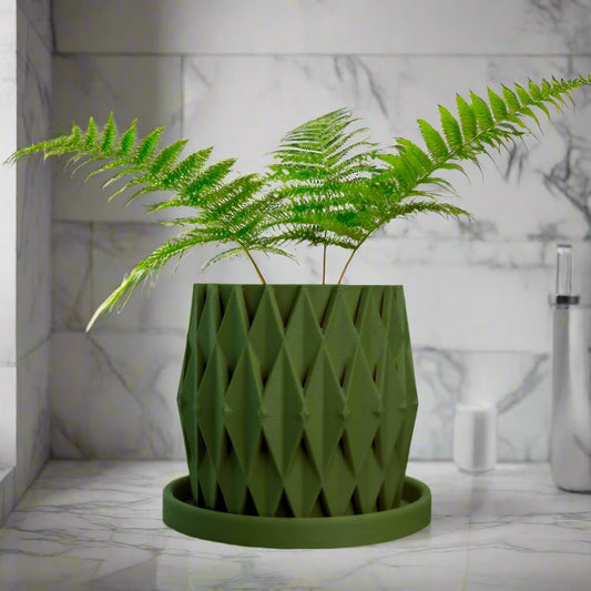 Stellaria Unique Plant Pot with Drainage and Saucer