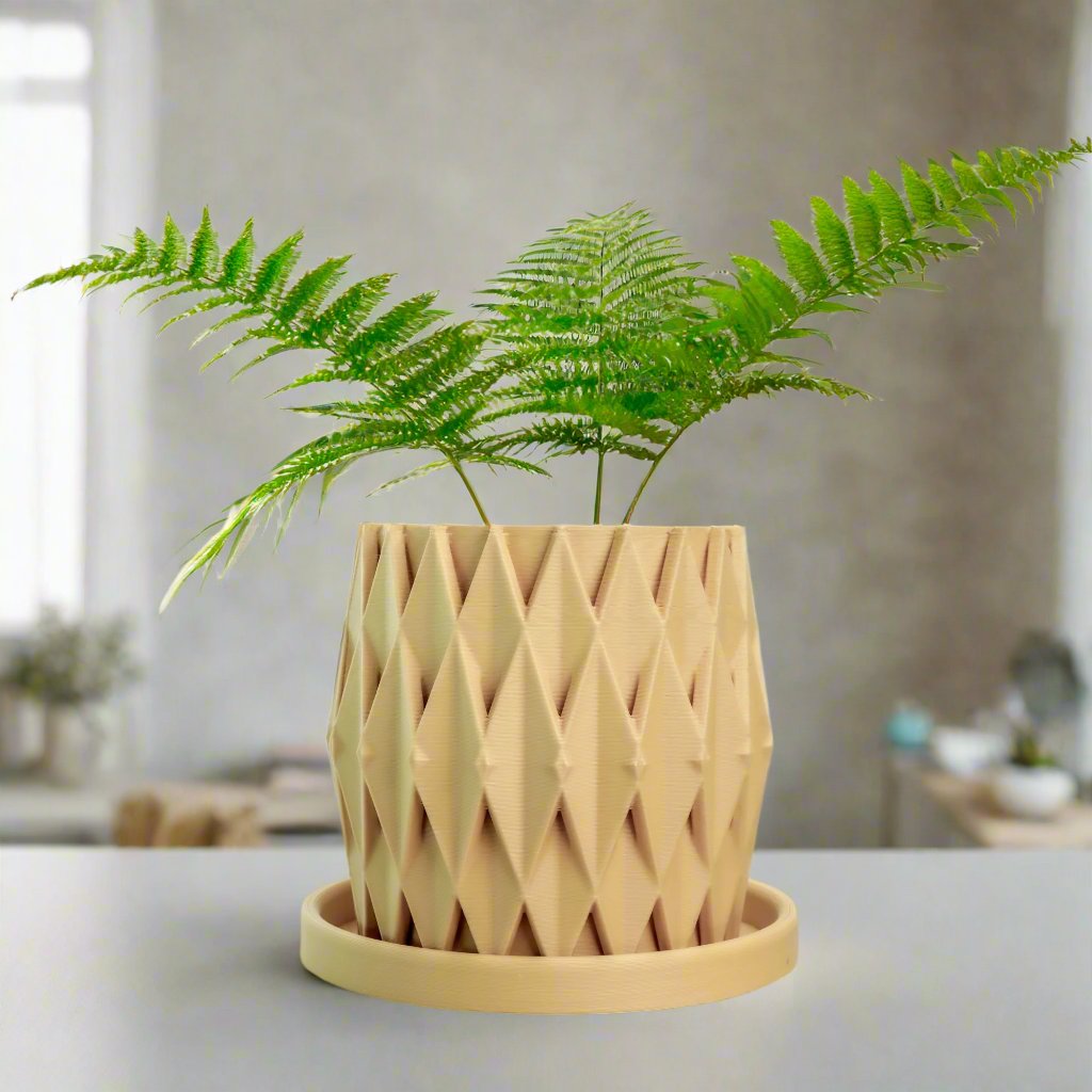 Stellaria Unique Plant Pot with Drainage and Saucer