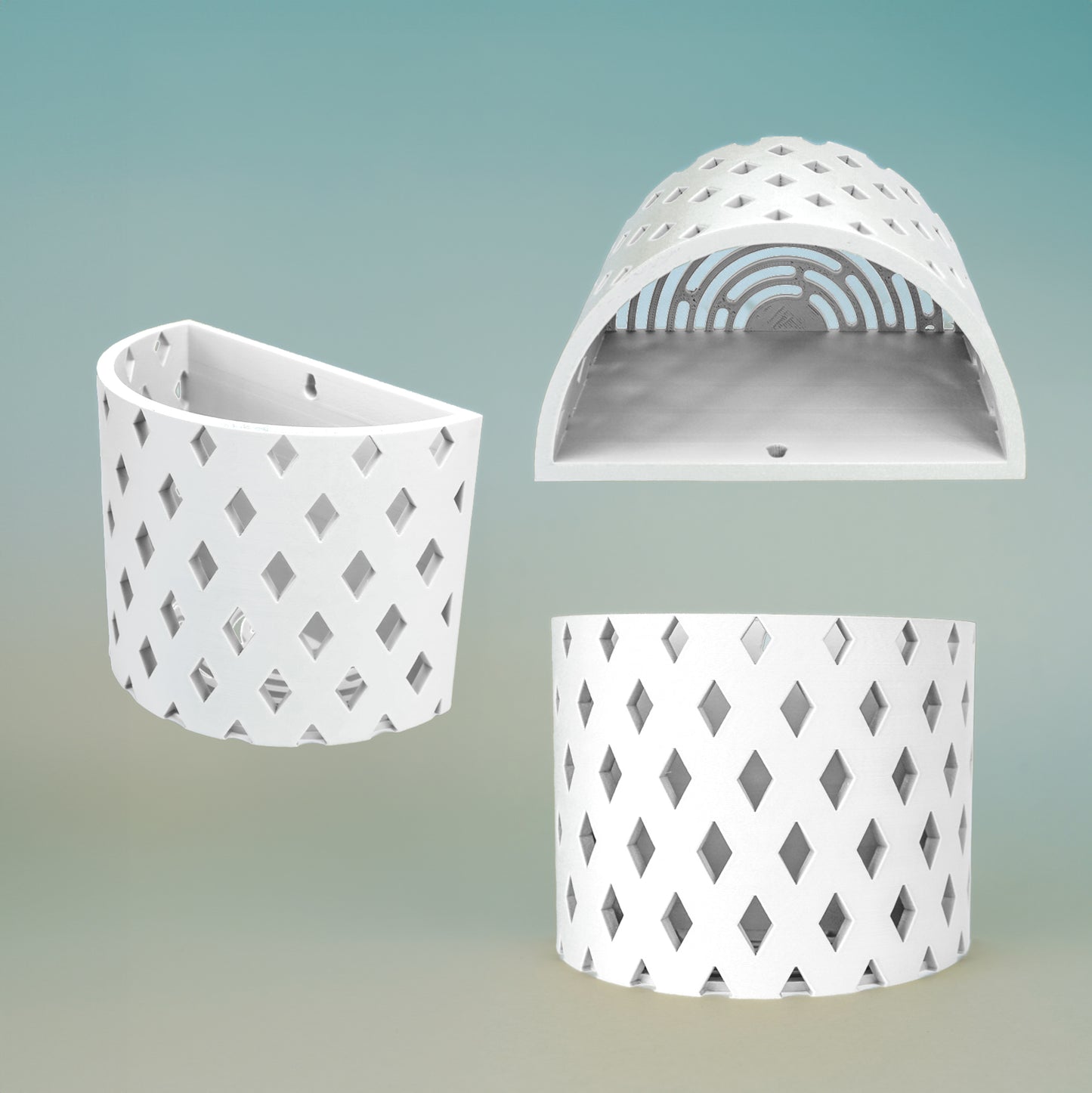 Orchid Wall Planter, Staghorn Wall Mount