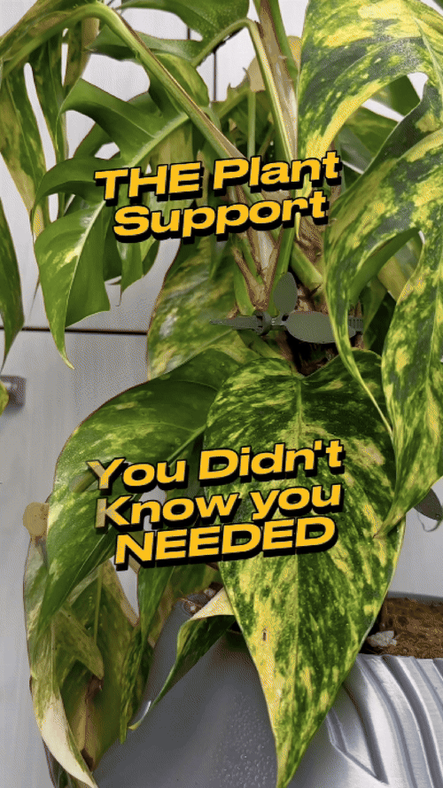 Plant Zip Tie Supports Pack of 10