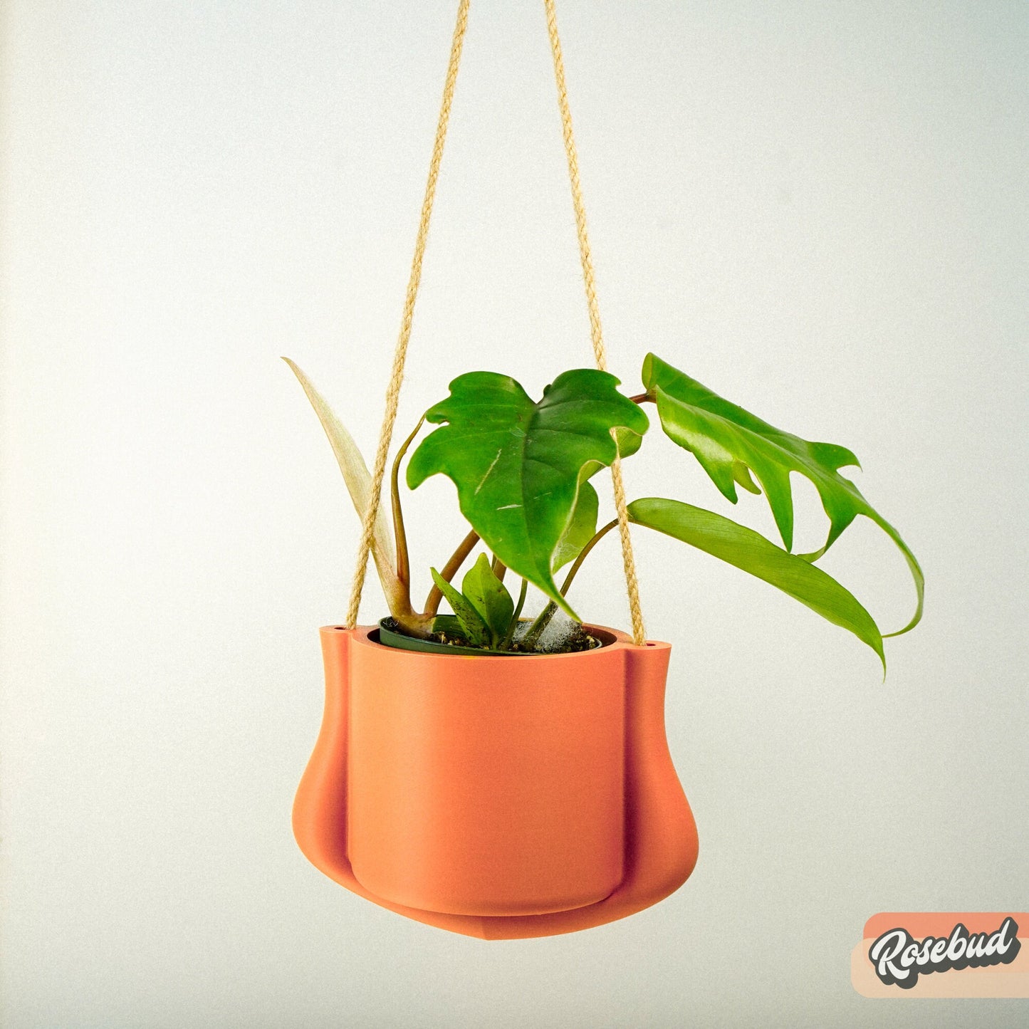 Hanging Planter - The Elysian | Modern 3D Printed Pot with Drainage | Indoor Outdoor | Sizes & Colors | Succulent, Herb, Flower, Gifts