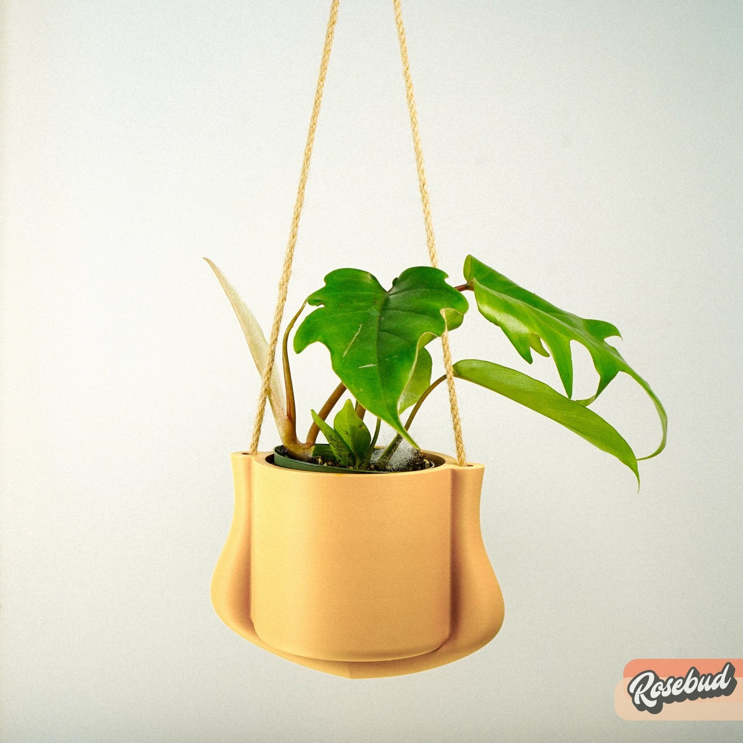 Hanging Planter - The Elysian | Modern 3D Printed Pot with Drainage | Indoor Outdoor | Sizes & Colors | Succulent, Herb, Flower, Gifts