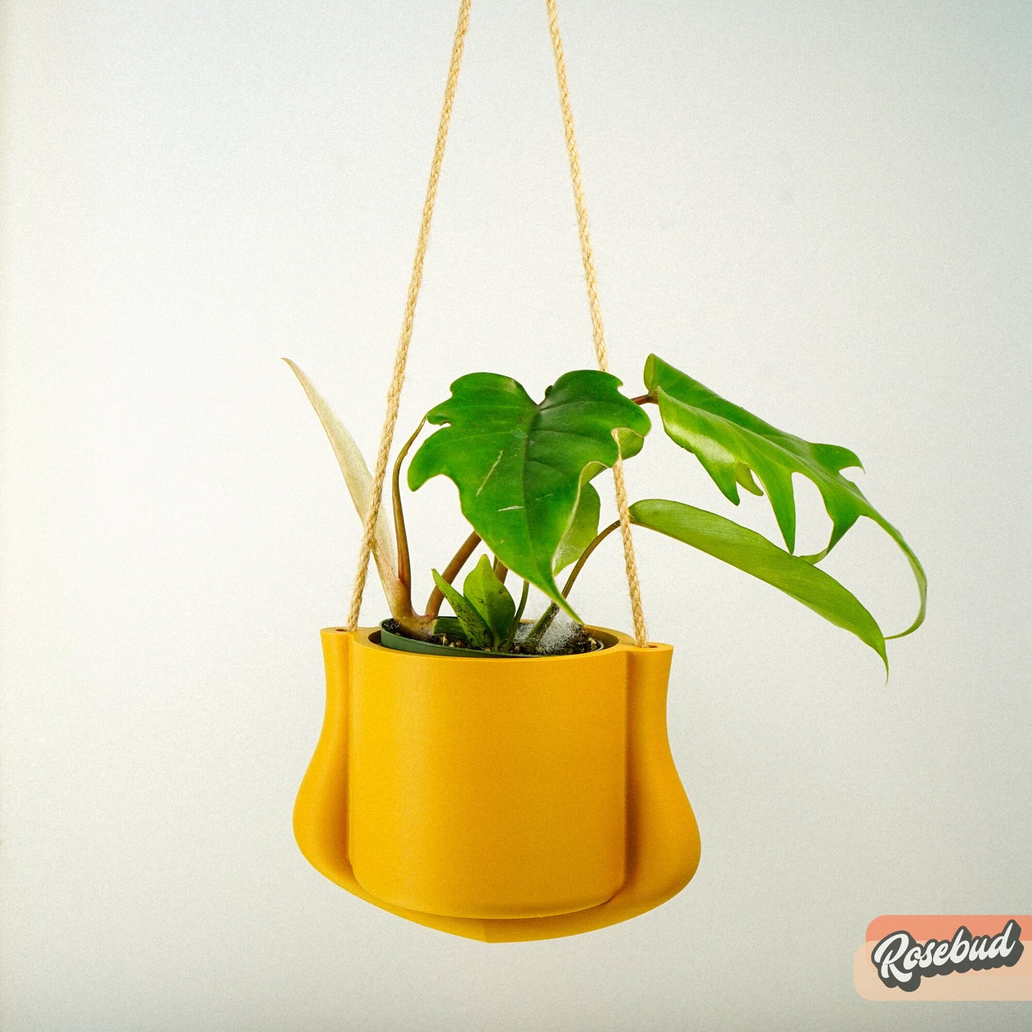 Hanging Planter - The Elysian | Modern 3D Printed Pot with Drainage | Indoor Outdoor | Sizes & Colors | Succulent, Herb, Flower, Gifts