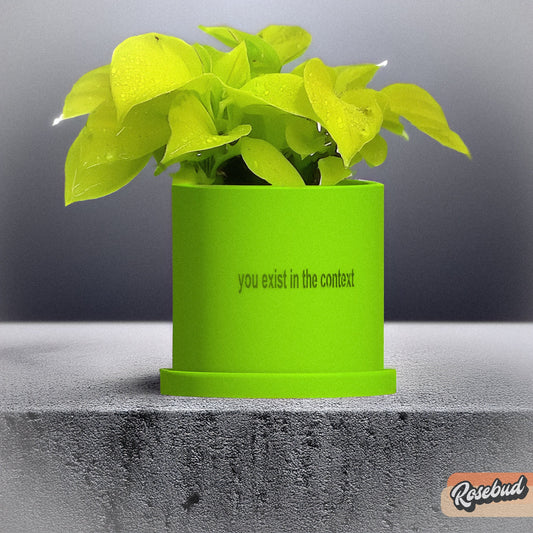 You Exist in the Context Plant Pot, Charli XCX Brat Summer Decor, Kamala Coconut Tree Quote, Gifts for LGBTQIA+, Humorous Gifts for Her