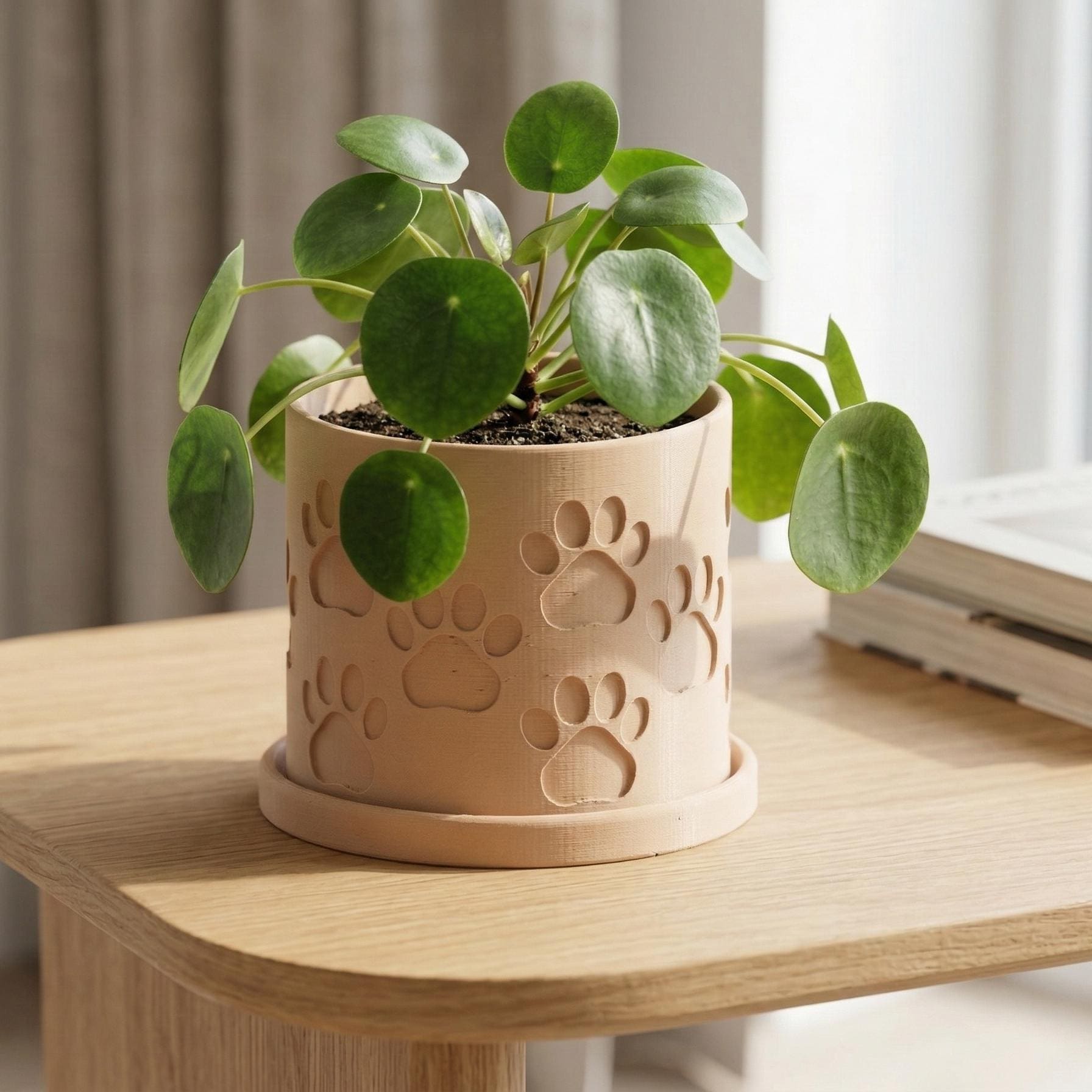 Minimal Imprint Paw Print Planter with Drainage and Drip Tray White / 10 Inch + Drip Tray