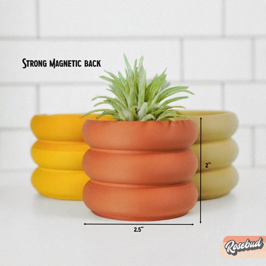 Magnetic Mini Bubble Planter, Air Plant Holder, Refrigerator Decor, Small Cute Gift