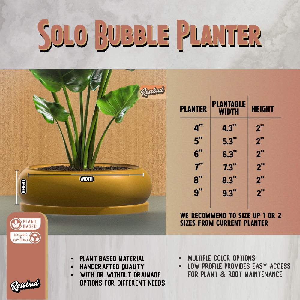 Solo Bubble, Donut Planter with Drainage and Drip Tray, Succulent Arrangement, Shallow Bowl