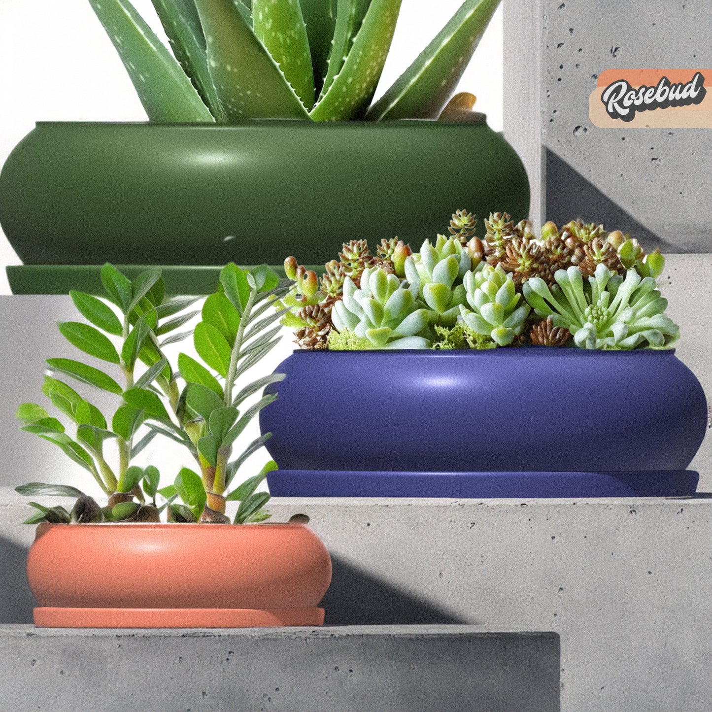 Solo Bubble, Donut Planter with Drainage and Drip Tray, Succulent Arrangement, Shallow Bowl