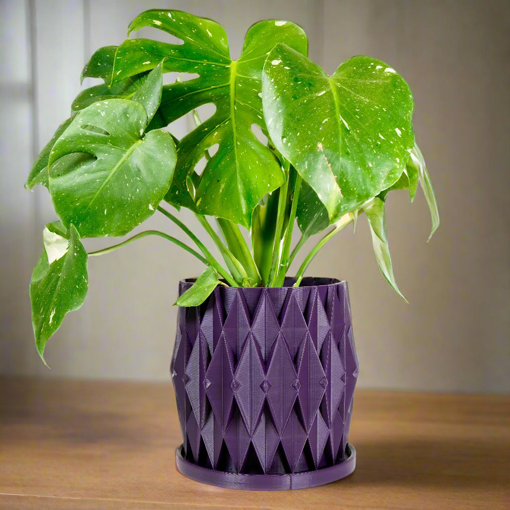 Stellaria Unique Plant Pot with Drainage and Saucer