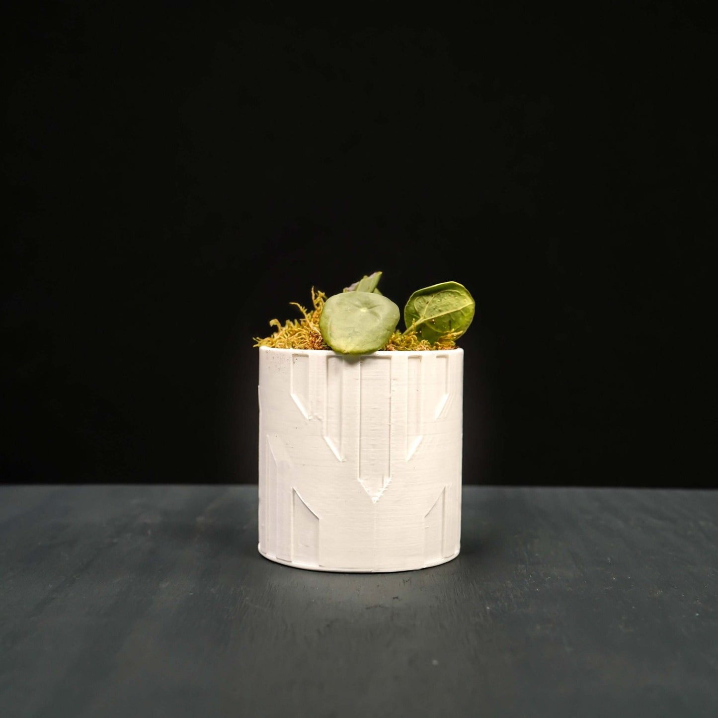 Art Deco Tower Planter - Rosebud HomeGoods Black 4 Inch Without Drip Tray MODERN HOME GOOD