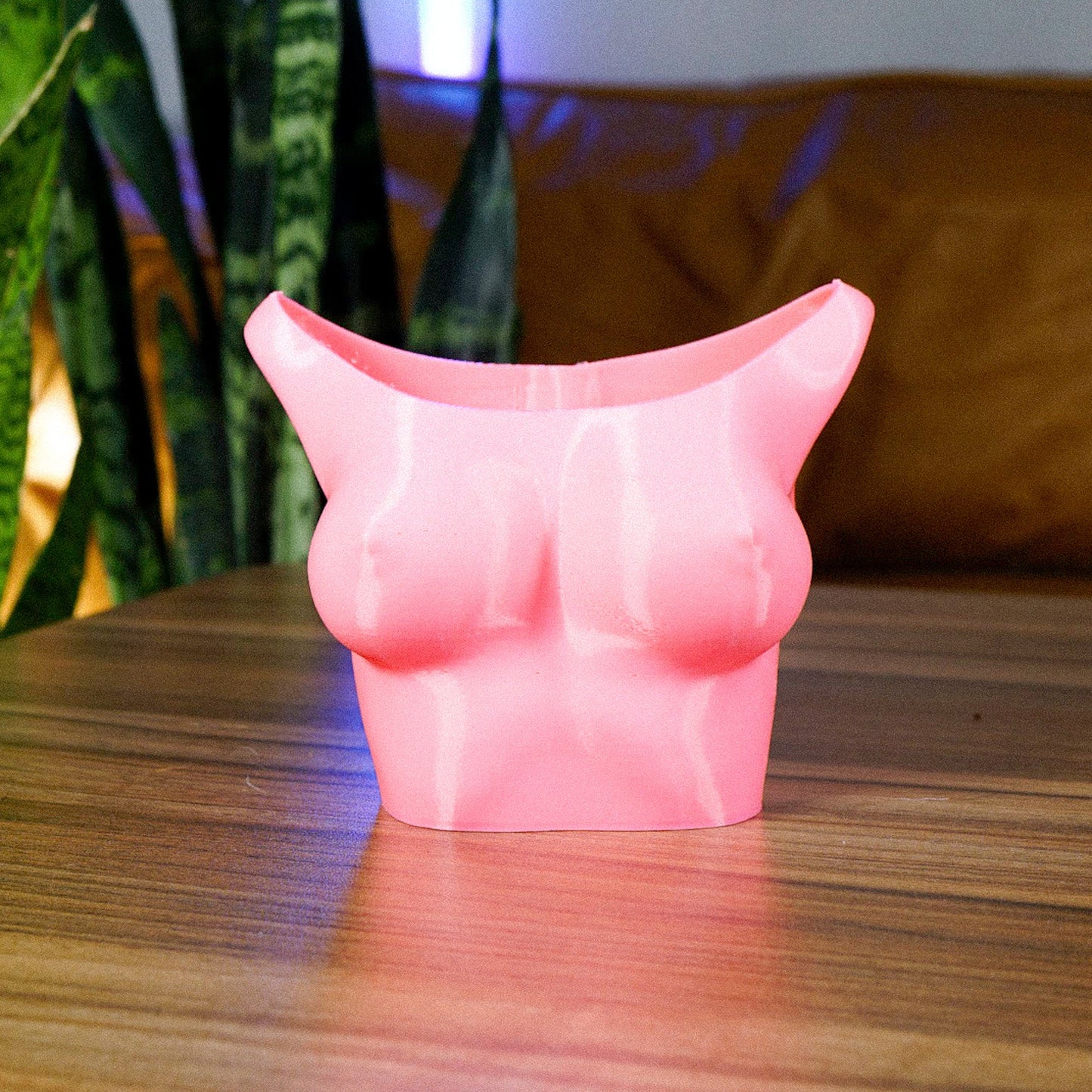 Boob Planter - Rosebud HomeGoods Black Small With Drip Tray MODERN HOME GOOD