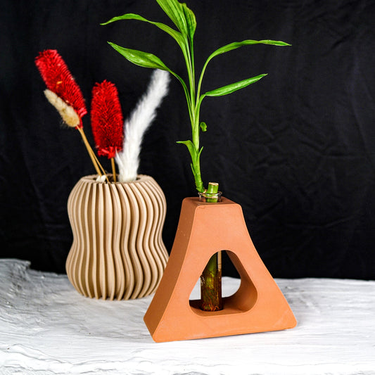 “C” Art Nouveau Propagation Station - Rosebud HomeGoods Black No Plant Cutting MODERN HOME GOOD