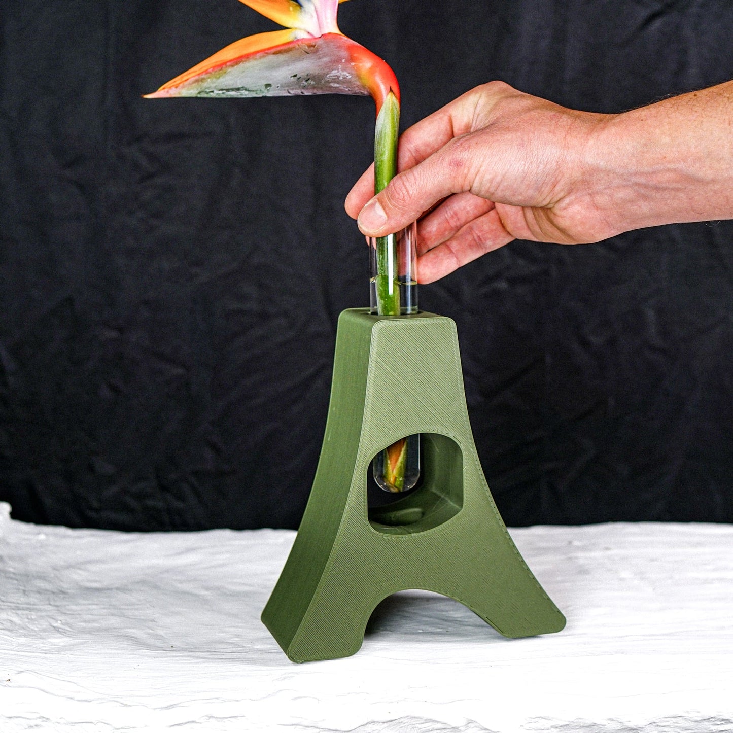 “D” Art Nouveau Propagation Station - Rosebud HomeGoods Black No Plant Cutting MODERN HOME GOOD