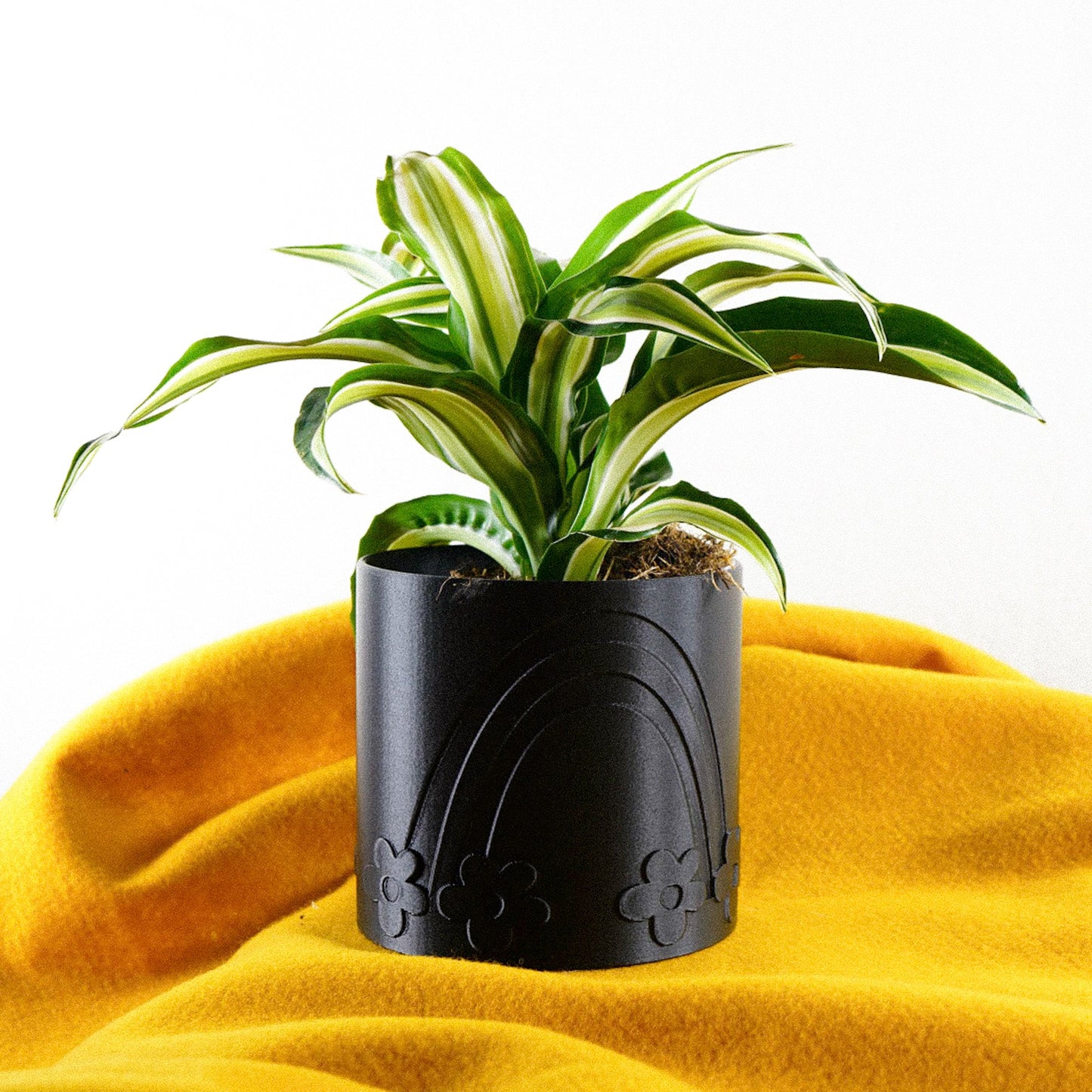 Daisy Rainbow Planter - Rosebud HomeGoods Black 4 Inch Without Drip Tray MODERN HOME GOOD