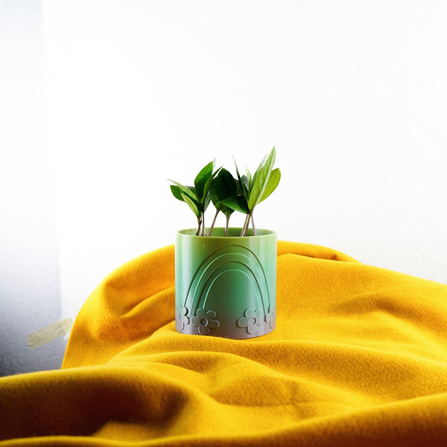 Daisy Rainbow Planter - Rosebud HomeGoods Black 4 Inch Without Drip Tray MODERN HOME GOOD