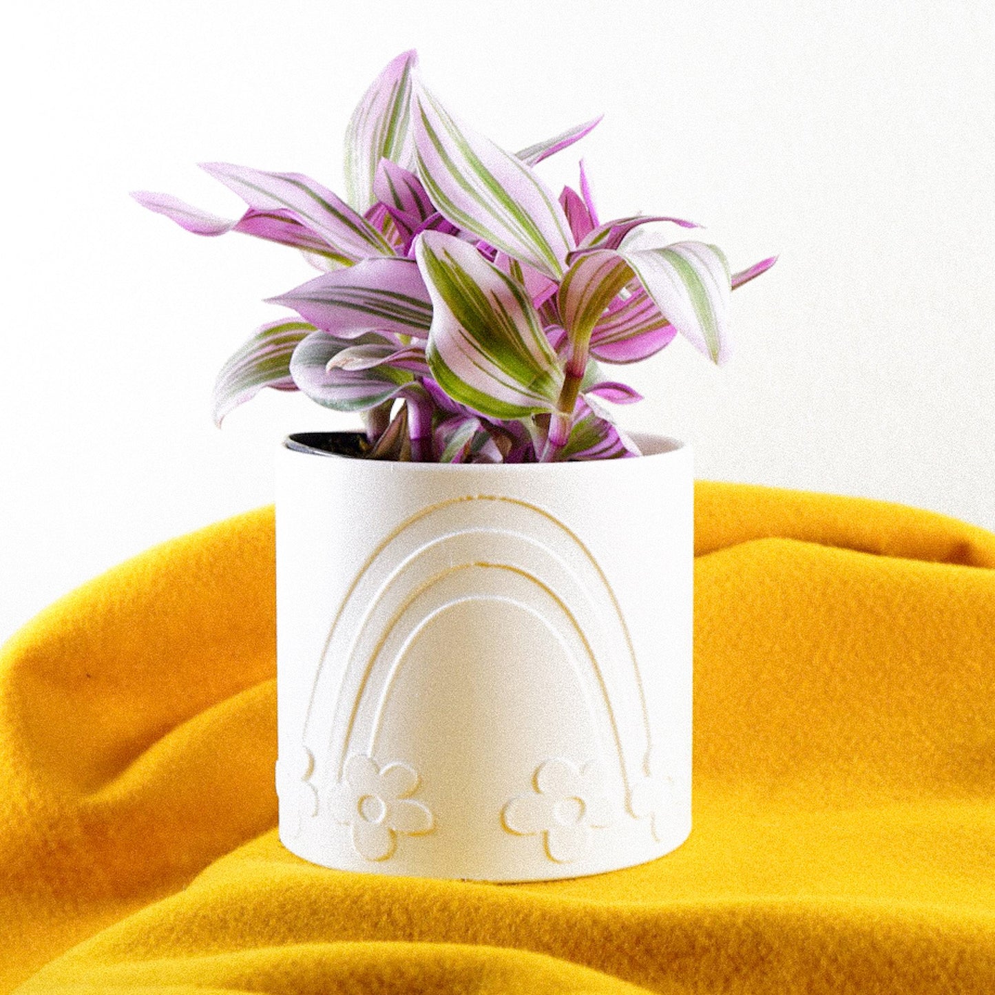 Daisy Rainbow Planter - Rosebud HomeGoods Black 4 Inch Without Drip Tray MODERN HOME GOOD