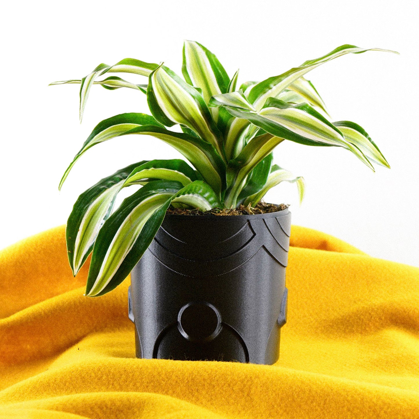 Deep Space Planter - Rosebud HomeGoods Black 4 Inch Without Drip Tray MODERN HOME GOOD