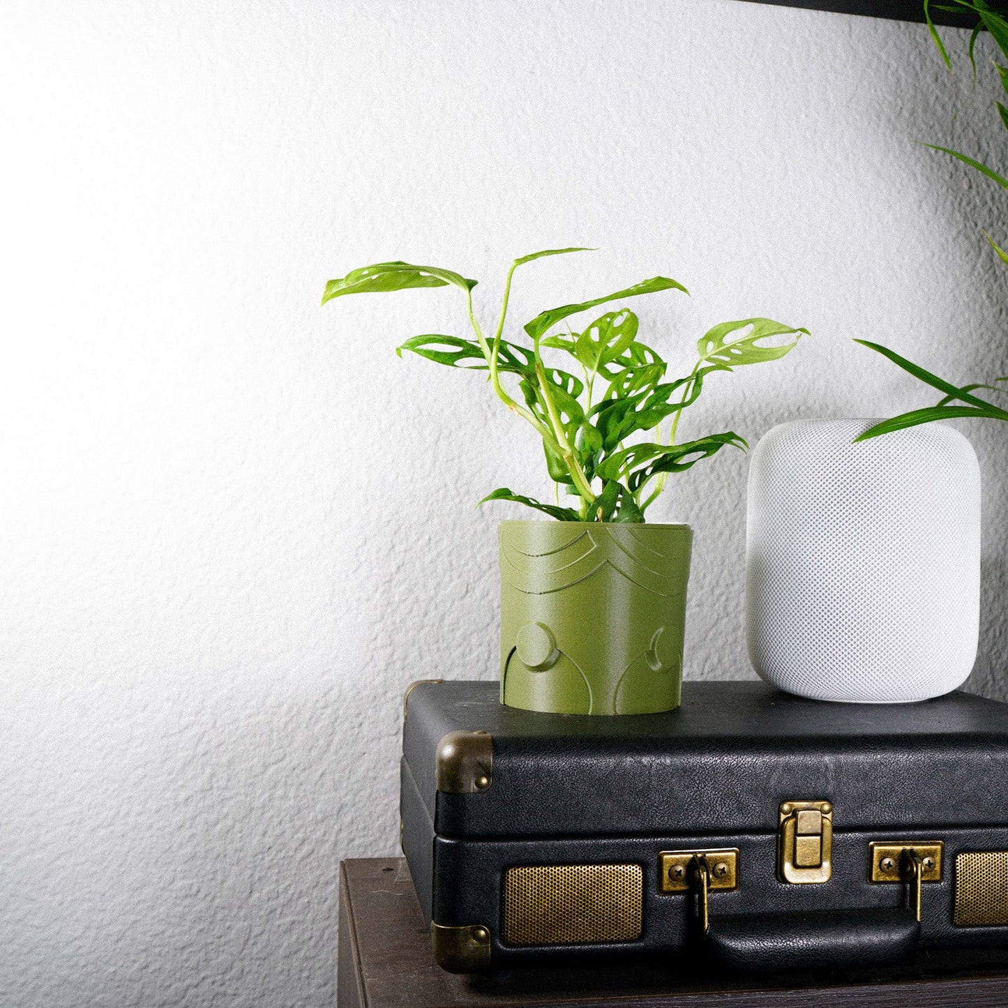 Deep Space Planter - Rosebud HomeGoods Black 4 Inch Without Drip Tray MODERN HOME GOOD
