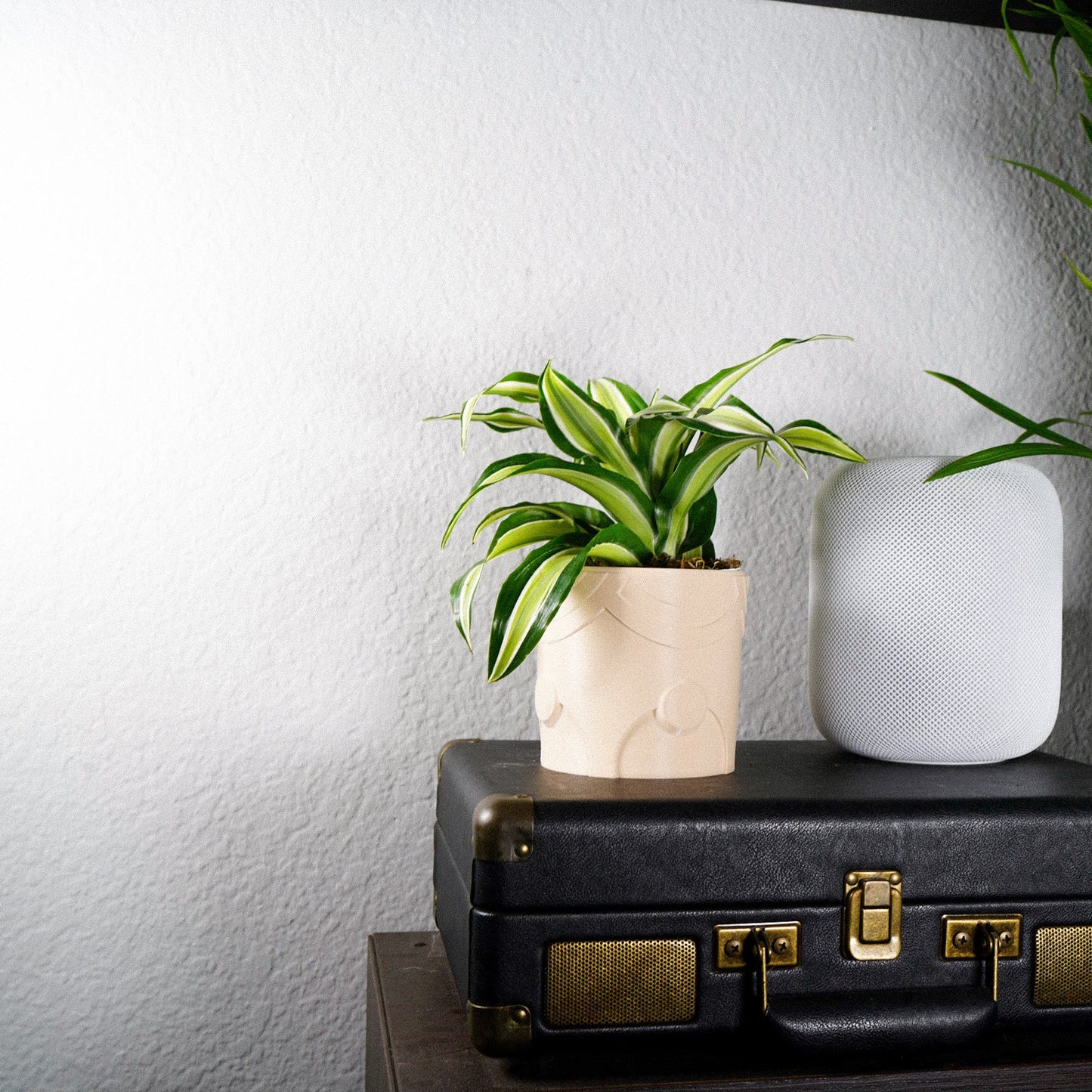 Deep Space Planter - Rosebud HomeGoods Black 4 Inch Without Drip Tray MODERN HOME GOOD