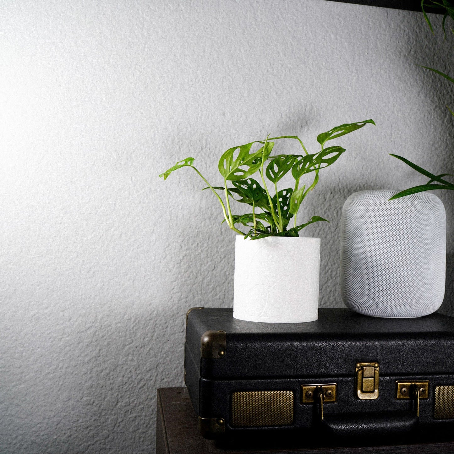 Desert Scape Planter - Rosebud HomeGoods Black 4 Inch Without Drip Tray MODERN HOME GOOD