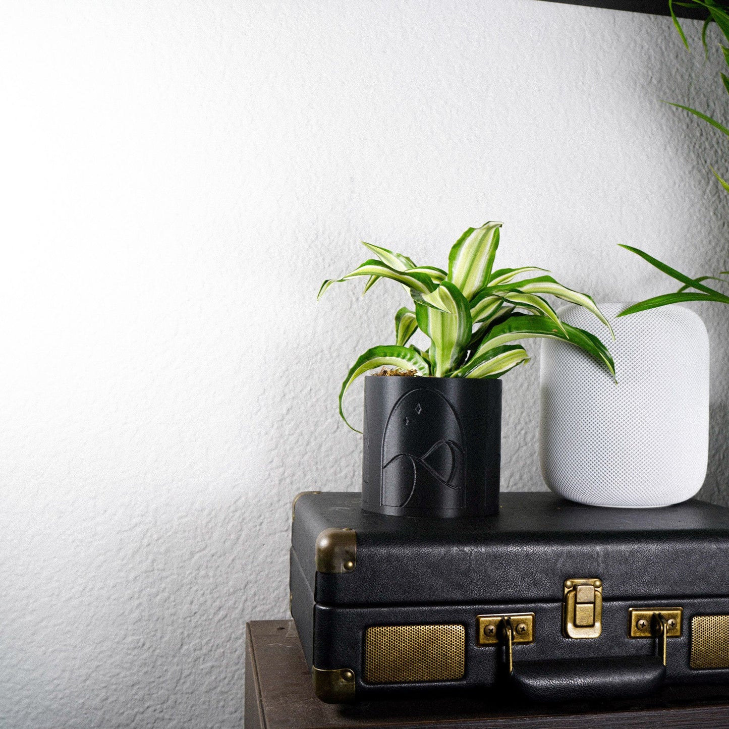Desert Scape Planter - Rosebud HomeGoods Black 4 Inch Without Drip Tray MODERN HOME GOOD