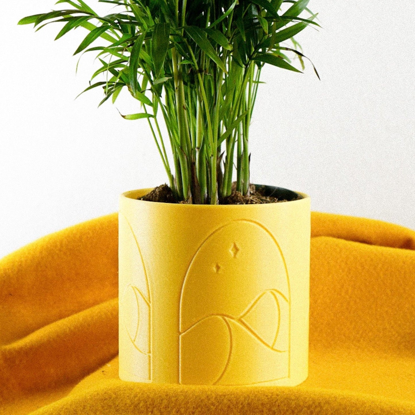 Desert Scape Planter - Rosebud HomeGoods Black 4 Inch Without Drip Tray MODERN HOME GOOD