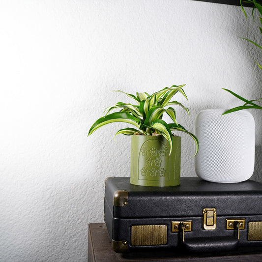 Flowers in the Window Planter - Rosebud HomeGoods 4 Inch Black With Saucer MODERN HOME GOOD