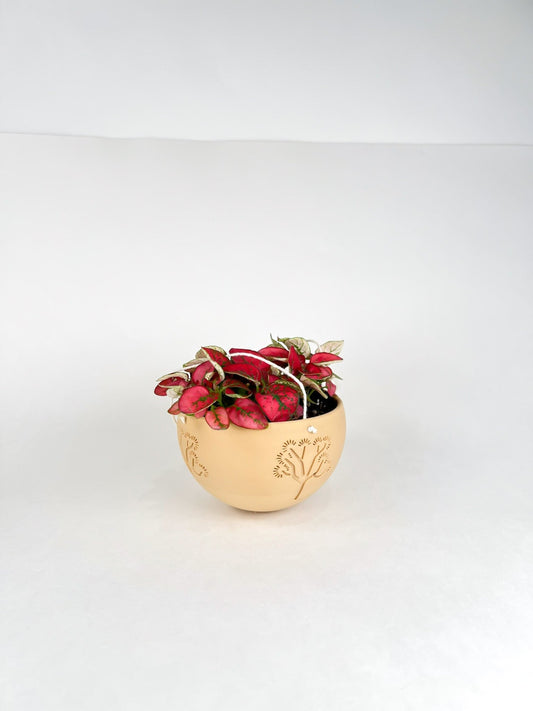 Hanging Joshua Tree Planter - Rosebud HomeGoods Black 4 Inch MODERN HOME GOOD