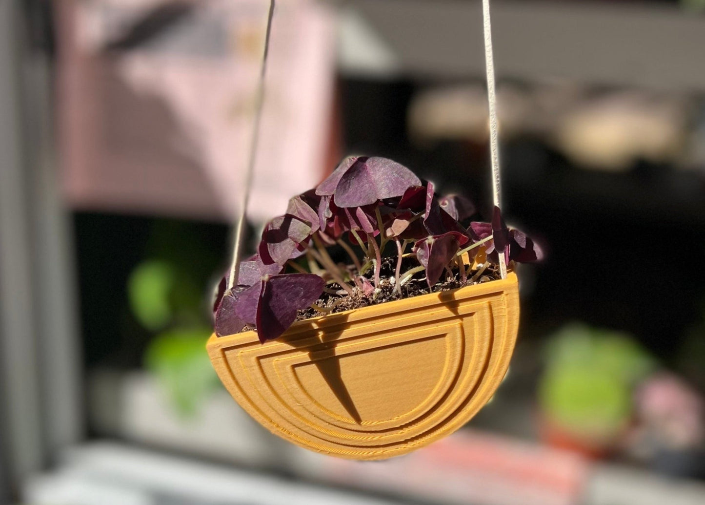 Hanging Rainbow Planter - Rosebud HomeGoods Black 4 MODERN HOME GOOD
