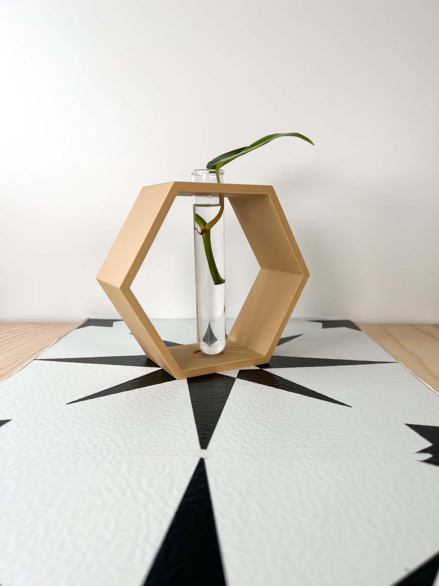 Hexagon Propagation Station - Rosebud HomeGoods Beige Stand & Tube MODERN HOME GOOD
