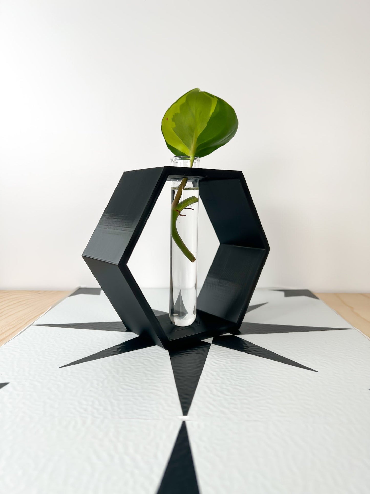 Hexagon Propagation Station - Rosebud HomeGoods Black Stand & Tube MODERN HOME GOOD