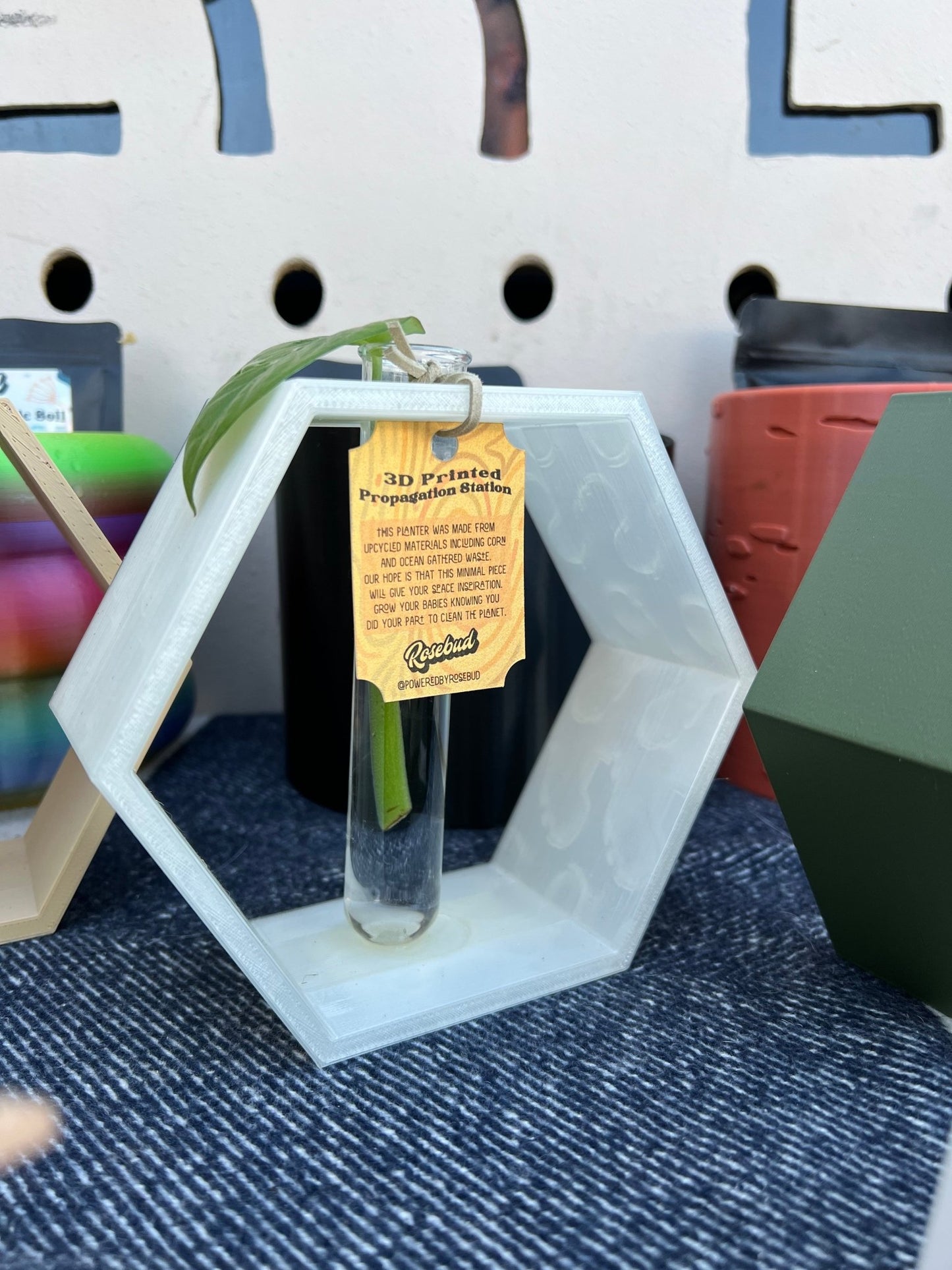 Hexagon Propagation Station - Rosebud HomeGoods Terracotta Stand & Tube MODERN HOME GOOD