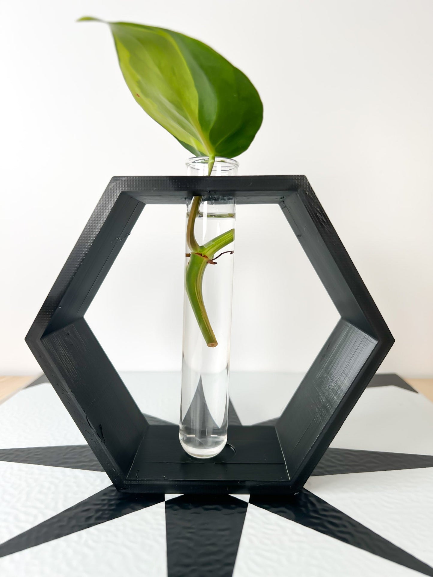 Hexagon Propagation Station - Rosebud HomeGoods Beige Stand & Tube MODERN HOME GOOD