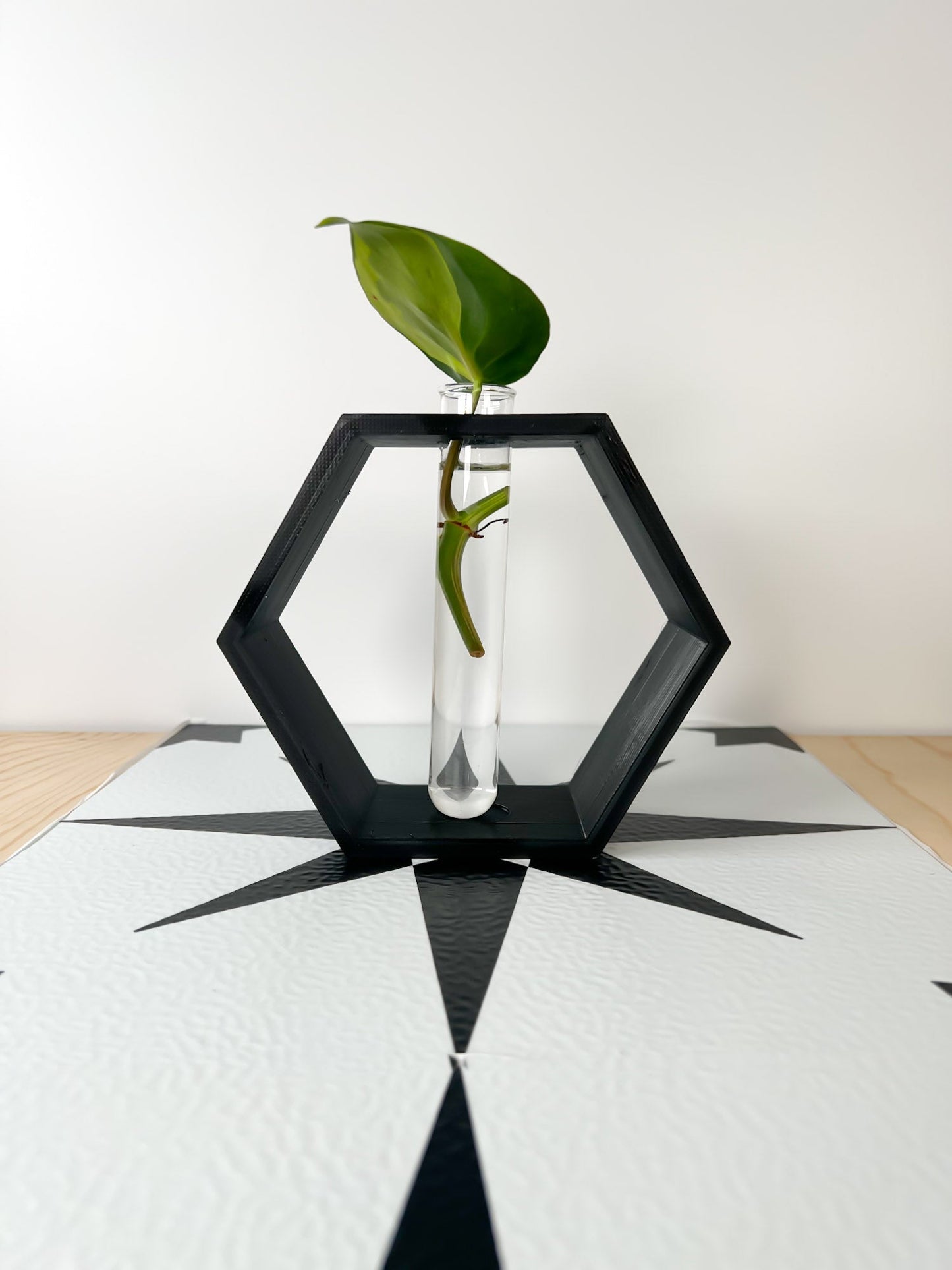 Hexagon Propagation Station - Rosebud HomeGoods Black Stand & Tube MODERN HOME GOOD