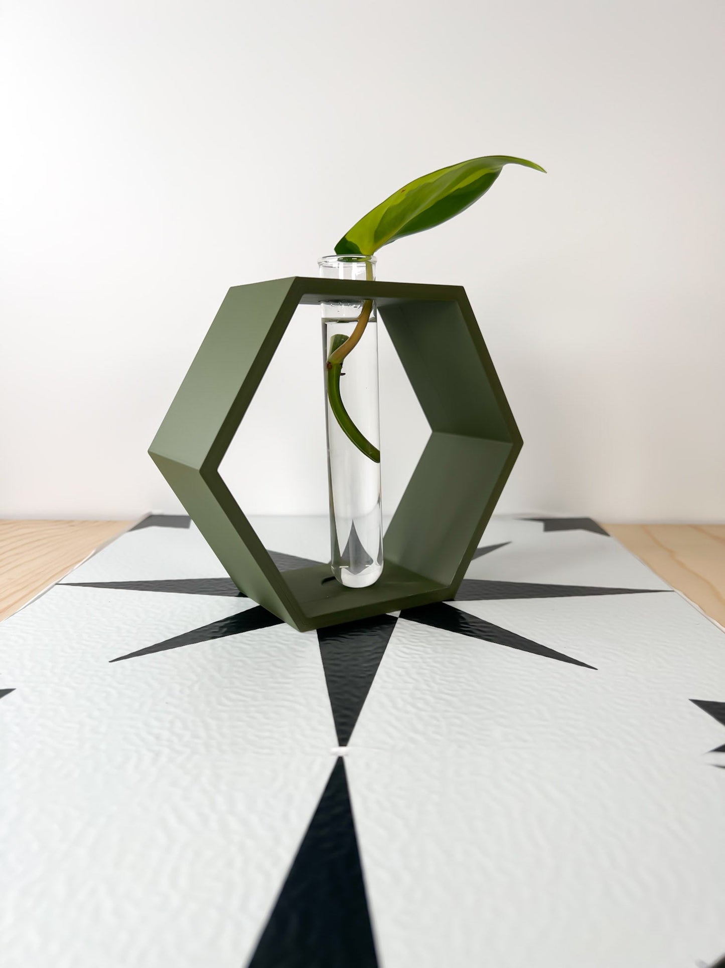 Hexagon Propagation Station - Rosebud HomeGoods Green Stand & Tube MODERN HOME GOOD