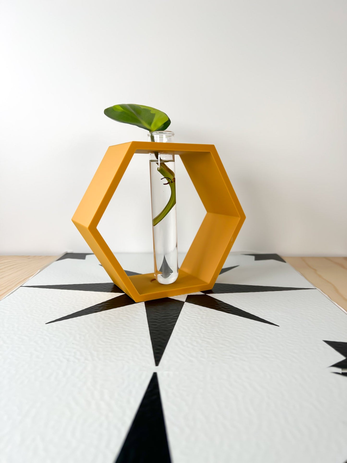 Hexagon Propagation Station - Rosebud HomeGoods Mustard Stand & Tube MODERN HOME GOOD