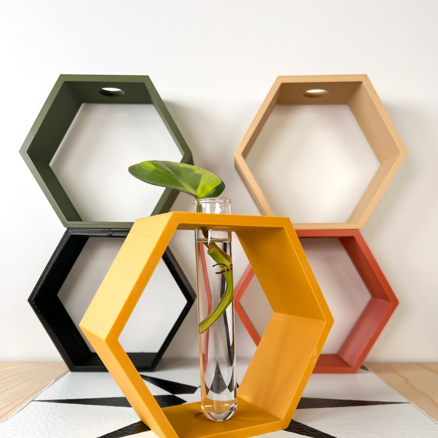 Hexagon Propagation Station - Rosebud HomeGoods White Stand & Tube MODERN HOME GOOD